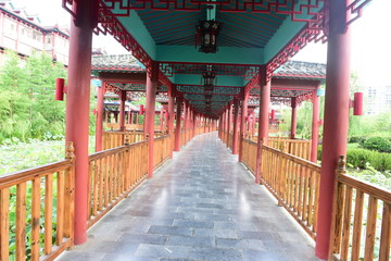 Lotus Pavilion and Lotus