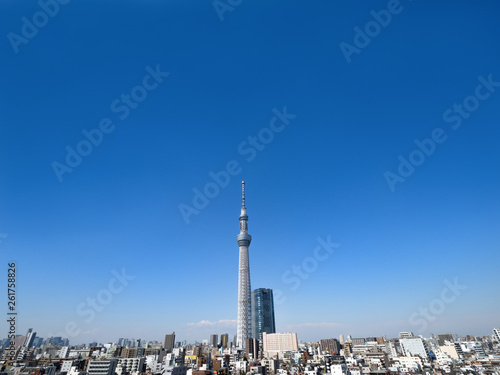 東京スカイツリーと住宅街 Wall Mural Wallpaper Murals Moonrise 東京スカイツリーと住宅街 Wall Mural Wallpaper Murals Moonrise