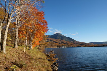 Highland Lake Autumn leaves