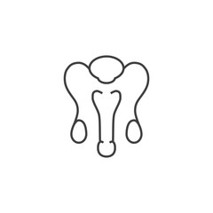 Male Reproductive System Vector Line Icons