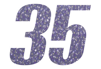 Number 35 with floral fabric texture on white background