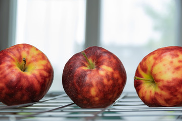 Ripe, colorful mottled apples on a grate and background of a bright window.