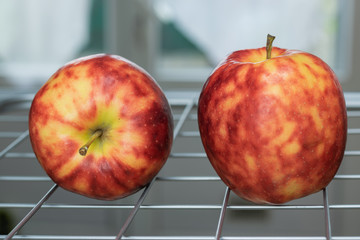 Ripe, colorful mottled apples on a grate and background of a bright window.