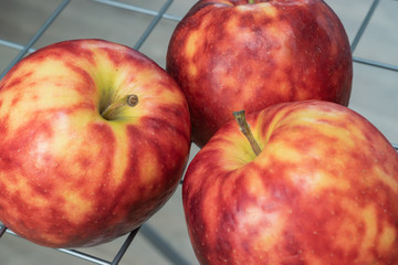   Ripe,colorful mottled apples on a background of grids.