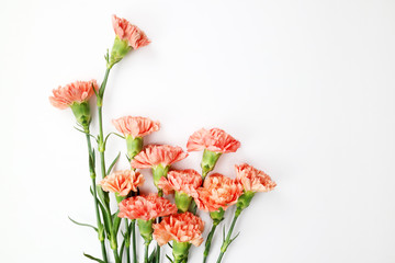 Fototapeta premium 아름다운 봄 꽃, 리빙코랄 컬러 카네이션,안개꽃,장미