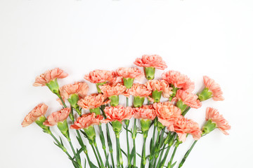 아름다운 봄 꽃, 리빙코랄 컬러 카네이션,안개꽃,장미