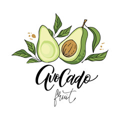 Hand drawn avocado