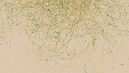 Finely structured network as in technology or biology, the Internet or neural connections - 3d illustration