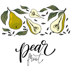 Hand drawn pear vector