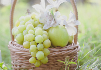Picnic basket with grapes, apples, concept of relaxation