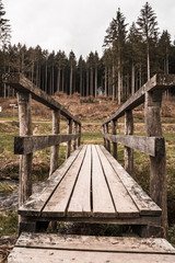 Holzbrücke Wanderweg 