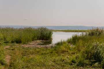Wide blue river slow flowing across the green meadow and mountains with no reflections. A lot of tall grass around. Summer time