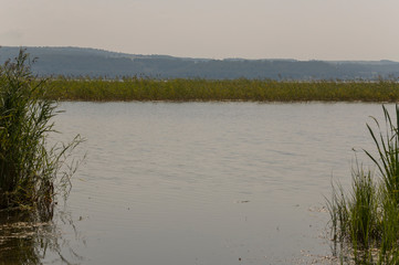 Wide blue river slow flowing across the green meadow and mountains with no reflections. A lot of tall grass around. Summer time