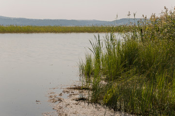 Wide blue river slow flowing across the green meadow and mountains with no reflections. A lot of tall grass around. Summer time