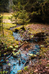 Flußlauf in einem Wald kurz vor Frühlingsbeginn