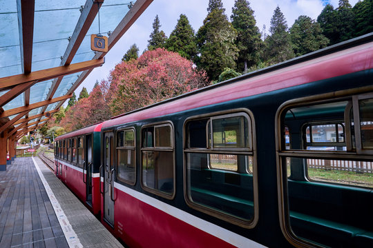 Alishan, Taiwan, December 6, 2018: Train at platfrom of Alishan forest railway station for go to Chaoping station in Alishan, Taiwan.