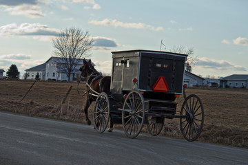 Fototapeta na wymiar Amish Horse and Buggy Late Afternoon