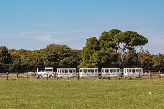 Touristic road-train driving through a safari park in national park Brioni, Croatia