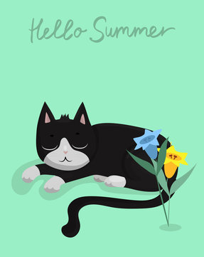 Vector illustration character design black cat sleeping on green pastel color