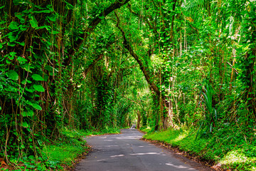 Fototapeta premium The beautiful and stunning landscapes and sunsets with rain forests and waterfalls on the Big Island of Hawaii for fine art photography and office decor