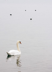 Lucerne, Switzerland