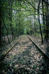 Alte Bahnschienen im Wald