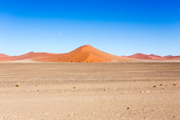 Fototapeta na wymiar A beautiful orange sand dune