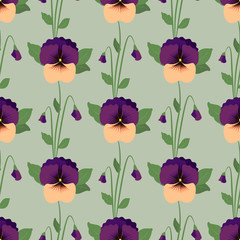 Seamless pattern with pansy flowers. Vector illustration