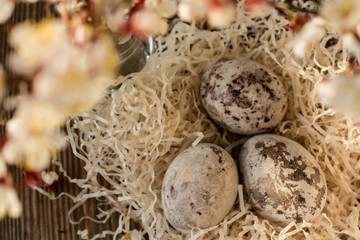 Paschal colored eggs in the nest. Easter decoration
