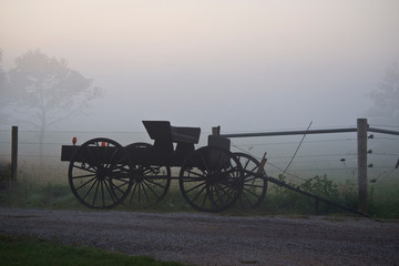 Fototapeta na wymiar Amish Buggy for Sale at Roadside