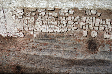 Old shabby and weathered board painted closeup