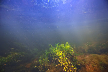 sunbeams underwater photo / texture underwater landscape with sun rays, blue water sun in the ocean
