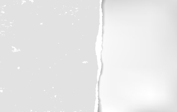 Piece of torn, ripped tattered grey note paper strip with soft shadow is on white background for message or advertising. Vector illustration
