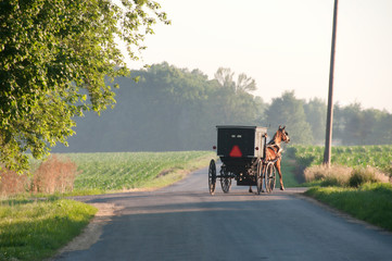 Amish Buggy Turns Corner on Rural Roads