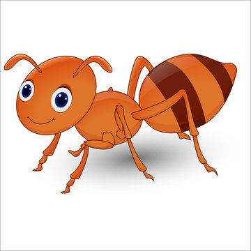 Cute ant cartoon