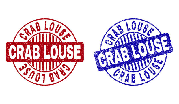 Grunge CRAB LOUSE round stamp seals isolated on a white background. Round seals with grunge texture in red and blue colors. Vector rubber overlay of CRAB LOUSE caption inside circle form with stripes.