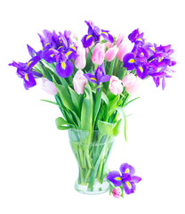 Blue irises and pik tulips
