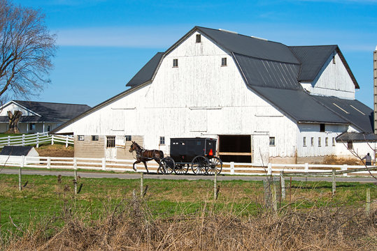 Amish Buggy Ad White Barn