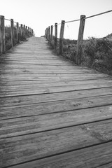 Obraz premium Wooden fence and walkway to beach black and white. Empty path monochrome. Wooden columns and path. Travel destination and tourism. Walking concept. Camino de Santiago way.