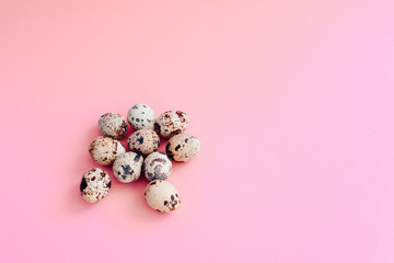 Easter eggs on a pink background with a sprig of willow