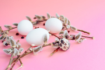 Easter eggs on a pink background with a sprig of willow