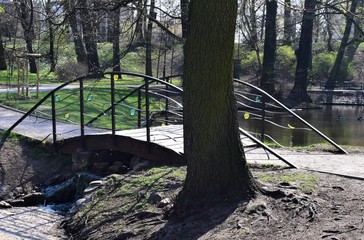 Parkowy mostek poziomo