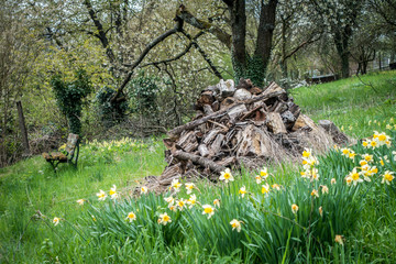 Brennholz Haufen auf Wiese © focus finder
