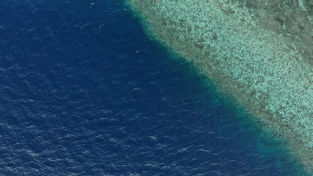 Aerial: Flying over tropical beach turquoise water coral reef , Tomia island Wakatobi National Park Indonesia Maldives Polynesia white sand beach. Native cinelike D-log color profile
