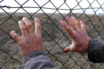 hands, non-free people, refugees and barbed wire fences,