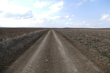Fototapeta na wymiar dirt road in the field,