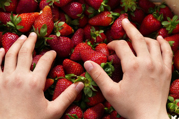 a person has strawberries in his hand, a wooden box full of strawberries at the market.