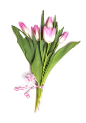 Pink tulip flowers bouquet on white background