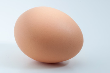Egg isolated on white blank background