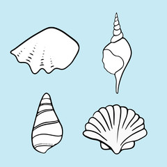 Seashell summer vector illustration 